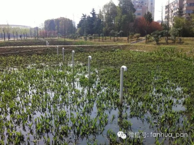 <FONT face=微软雅黑>常德市城市排水（雨水）防涝专项规划</FONT>