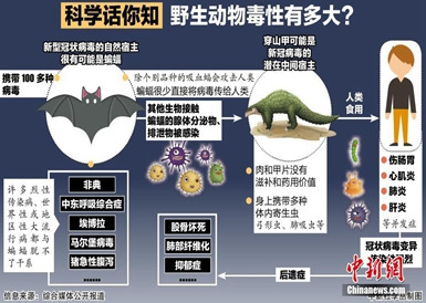 科学话你知：野生动物毒性有多大？