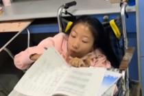 女孩从小患病 坐着轮椅考进大学
